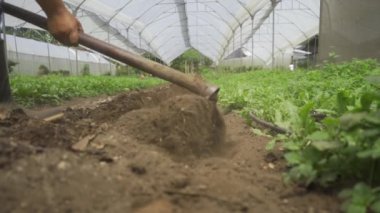 Araziyi ekime hazırlayan adam, tarımda çok çalışmayı ve kendini adamayı temsil eden bir imaj..
