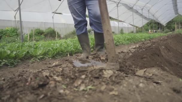 Ember Csizma Kész Dolgozni Területen Egy Kép Amely Képviseli Mezőgazdasági — Stock videók