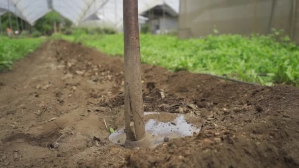 Préparation Terre Agriculture Une Pelle Prête Ouvrir Des Tranchées Dans — Video