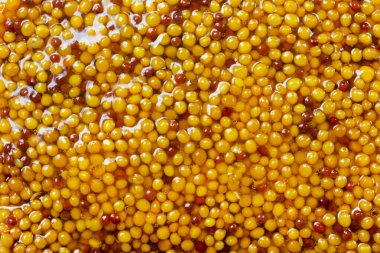 Close up photo texture of dijon mustard sauce.