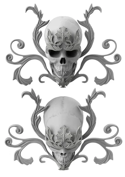 Izolované Znázornění Hliněné Gotické Barokní Ornamentní Heraldické Lebky Různých Úhlech — Stock fotografie