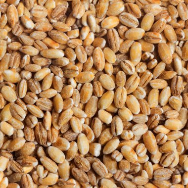 Buğday tanelerinin kusursuz fotoğraf dokusu.