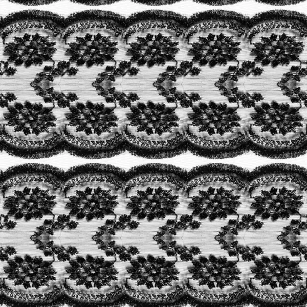 Textura Perfectă Fotografie Din Dantelă Florală Culoare Neagră Fundal Alb Fotografie de stoc