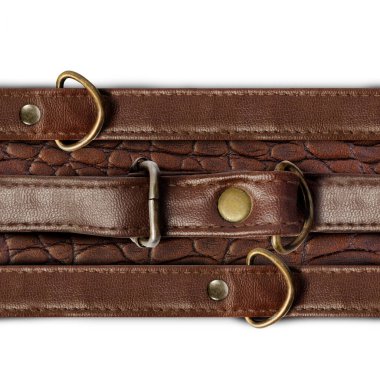 Kahverengi renkli deri kemer ve beyaz arka planda koşum takımı olan timsah derisinin kusursuz izole fotoğrafı..