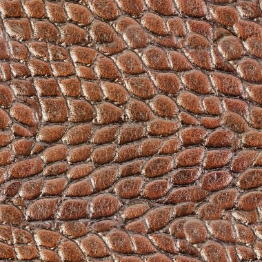 Kahverengi timsah derisi sürüngen derisinin kusursuz 4k fotoğraf desenli fotoğrafı..