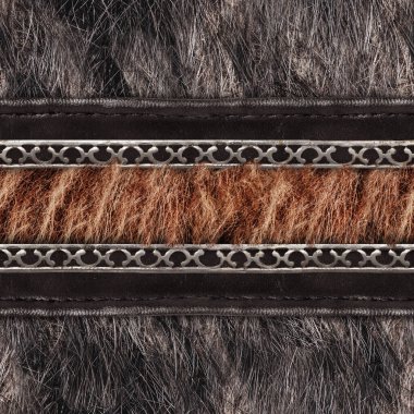 Açık gri ve kahverengi kürklü, deri ve metal kayışlı, kusursuz 4k fotoğraf malzemesi..