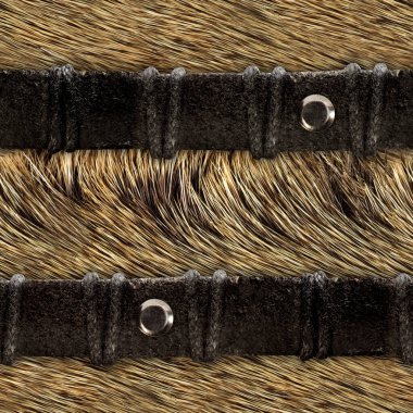 Deri kayışlı açık kahverengi geyik kürkünün kusursuz 4k fotoğraf dokusu.