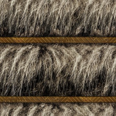 Açık gri kürklü, bronz süslü metal kayışlı, kusursuz 4k fotoğraf malzemesi..