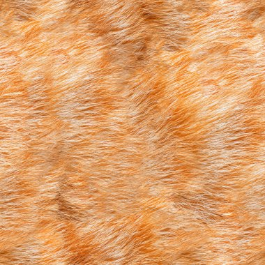 Turuncu ya da açık kahverengi kedinin kusursuz 4k fotoğraf dokusu doğal kürk malzemesi..