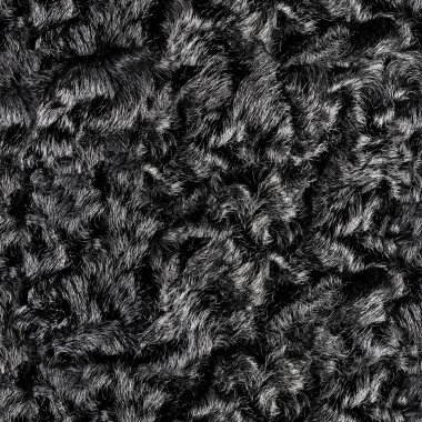 Siyah astrakhan kürk malzemesinin kusursuz 4k fotoğraf dokusu.