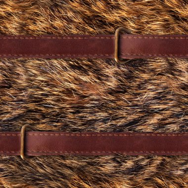 Kayışlı ve koşum takımlı ıslak kahverengi kürkün kusursuz 4k fotoğraf dokusu.