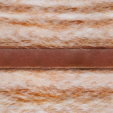 Deri kayışlı açık kahverengi kürkün kusursuz 4k fotoğraf malzemesi dokusu.