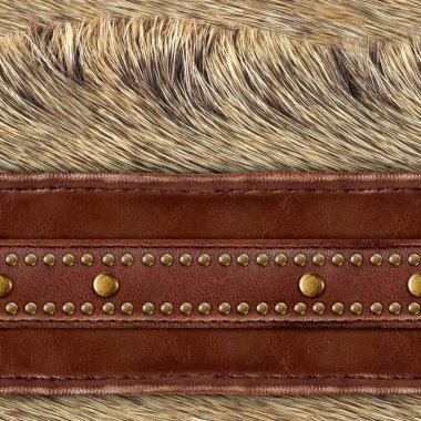 Pürüzsüz 4k fotoğraf malzemesi. Açık kahverengi kürk. Pirinç perçinli deri kayışlar..