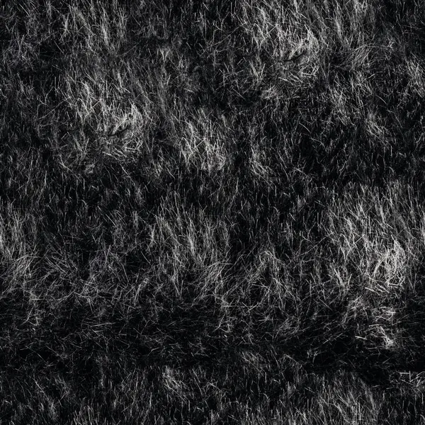 Siyah ve yoğun kürk malzemesinin kusursuz 4k fotoğraf dokusu.