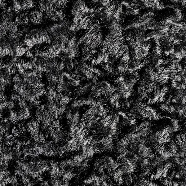 Siyah astrakhan kürk malzemesinin kusursuz 4k fotoğraf dokusu.
