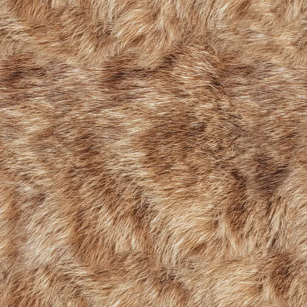 Açık kahverengi kedi kürkünün kusursuz 4k fotoğraf dokusu..