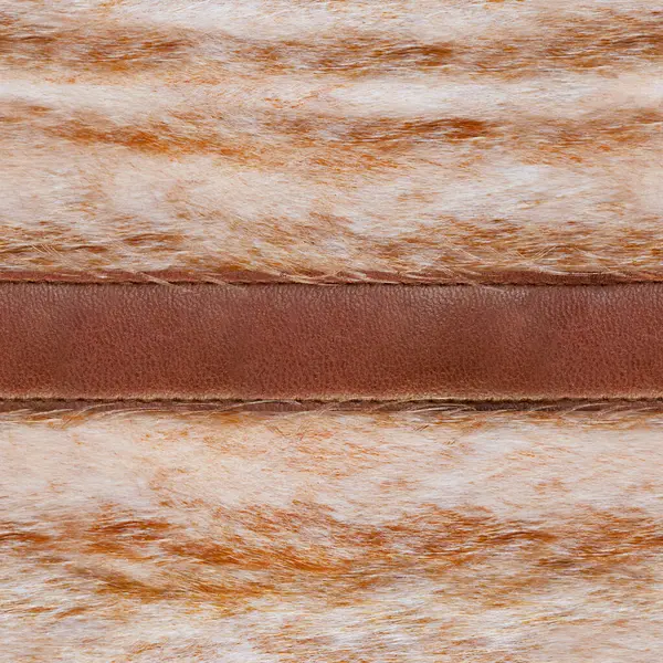 Deri kayışlı açık kahverengi kürkün kusursuz 4k fotoğraf malzemesi dokusu.