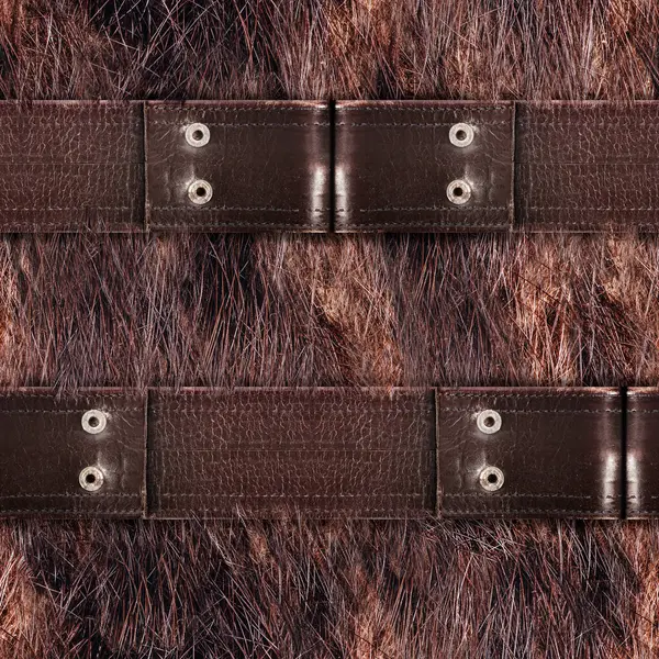 Deri kemerli kahverengi kürkün kusursuz 4k fotoğraf malzemesi..