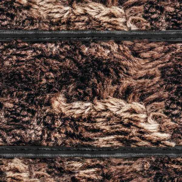 Kahverengi, dağınık kürklü, deri kayışlı 4k fotoğraf malzemesi..