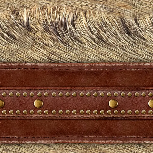 Pürüzsüz 4k fotoğraf malzemesi. Açık kahverengi kürk. Pirinç perçinli deri kayışlar..