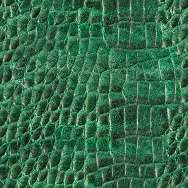 Yeşil renkli kabartmalı sürüngen ya da yılan derisi deri yüzeyinin kusursuz 4k fotoğraf dokusu..