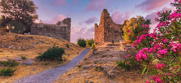 Myndos Kapısı Bodrum Şehri. Myndos, Bodrum, Türkiye 'de tarihi bir yer. Myndos kapısı, hindi tarihi, tarihi hindi kültürü. Eski kalenin kapısına giden yol. Resim indir