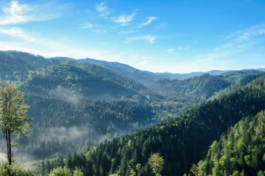 Dağ manzarası, mavi gökyüzü, HDR, Ukrayna seyahati. Dağlardaki harika bahar manzarası. Fotoğraf indir