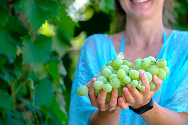 緑のブドウを持つ幸せな女性 白ブドウのクラスターと手 農業とワイン作りの概念 イタリアのブドウ収穫 プロセッコワイン 写真をダウンロード — ストック写真
