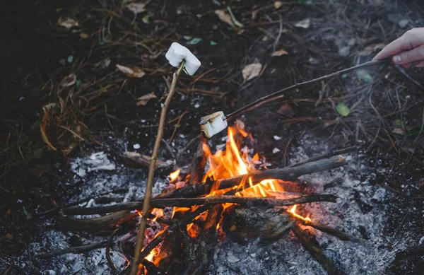 Marshmallow Roasting Hand Drawn Marshmallows Skewers Night Camping Fire Wood — Stock Photo, Image