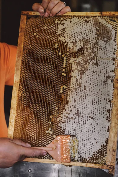 Tjocka Honung Droppar Ner Honeycomb Man Hand Samla Färsk Honung — Stockfoto