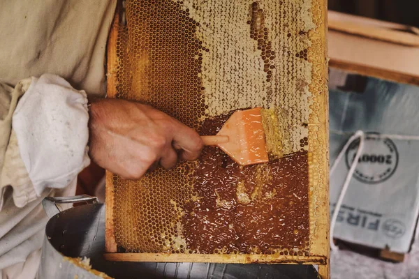 Extracting Honey Honeycomb Concept Close View Beekeeper Cutting Wax Lids — Stock Photo, Image
