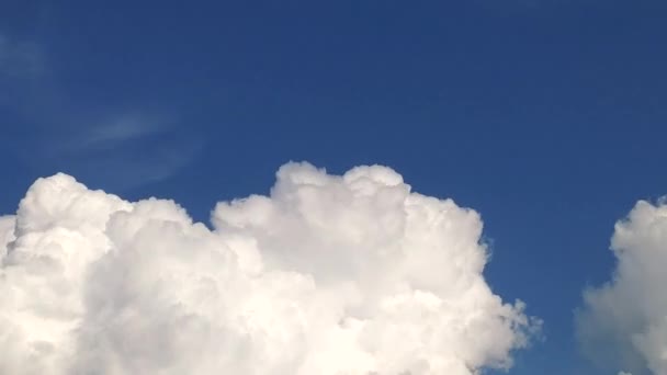 Kék Égbolt Fehér Felhők Puffadt Fehér Felhő Kumulus Felhő Természet — Stock videók
