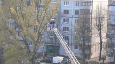 Kentsel Ağaççılar Güvenli Kesme Kenti Ağaçları: Crane Kurnaz Kuru Üzüm Ağacındaki Yetenekli İşçiler