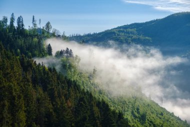 Fog over the mountains. Great view of the foggy valley National Park. Europe. Dramatic scene clipart