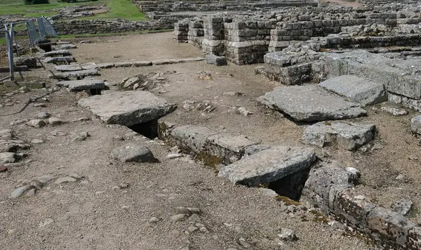 Vindolanda, Hexham. Northumberland, İngiltere. Haziran 2024. Roma kalesi kazıları ve Roma Ordu Müzesi. Vindolanda 'daki Hadrian kalesinin kazılmış temelleri..