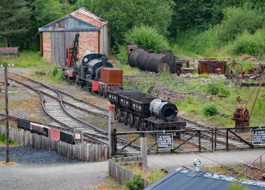 Beamish, Durham, Newcastle, İngiltere. Temmuz 2024. Kolleksiyon bahçesi.