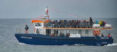 Farne Adaları, Deniz Evi, Northumberland, İngiltere. Ağustos 2024. Turda Farne Adaları 'nın tamamında bir gemi turu, yamaçlardaki deniz kuşlarını görmek, Gri Fok kolonilerini ziyaret etmek ve aynı zamanda rotayı takip etmek yer alıyor..