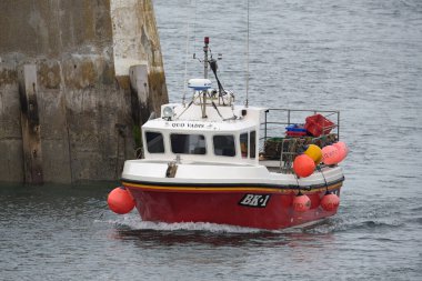 Farne Adaları, Deniz Evi, Northumberland, İngiltere. Ağustos 2024. Tekne turları. Turda Farne Adaları 'nın tamamında bir gemi turu, yamaçlardaki deniz kuşlarını görmek, Gri Fok kolonilerini ziyaret etmek ve aynı zamanda rotayı takip etmek yer alıyor..