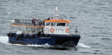 Deniz evleri, Northumberland, İngiltere. Temmuz 2025. Farne Adaları, İngiltere 'nin Northumberland kıyısında bir grup adadır. Grubun gelgit seviyesine bağlı olarak 15 ila 20 adası vardır.. 