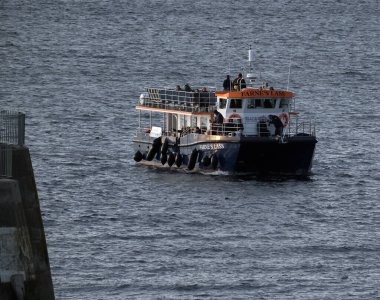 Deniz evleri, Northumberland, İngiltere. Temmuz 2025. Farne Adaları, İngiltere 'nin Northumberland kıyısında bir grup adadır. Grubun gelgit seviyesine bağlı olarak 15 ila 20 adası vardır.. 