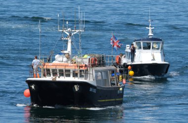 Deniz evleri, Northumberland, İngiltere. Temmuz 2025. Farne Adaları, İngiltere 'nin Northumberland kıyısında bir grup adadır. Grubun gelgit seviyesine bağlı olarak 15 ila 20 adası vardır.. 