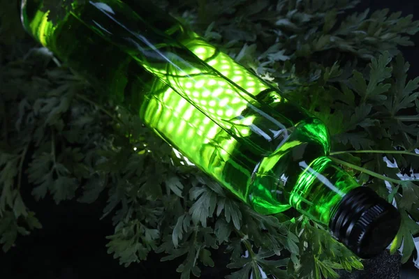 Бутылка Зеленого Абсента Напиток Черном Фоне Травами — стоковое фото
