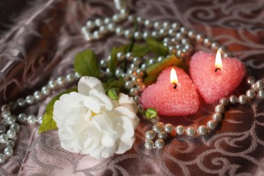 white beautiful rose with candles. romantic. copy space