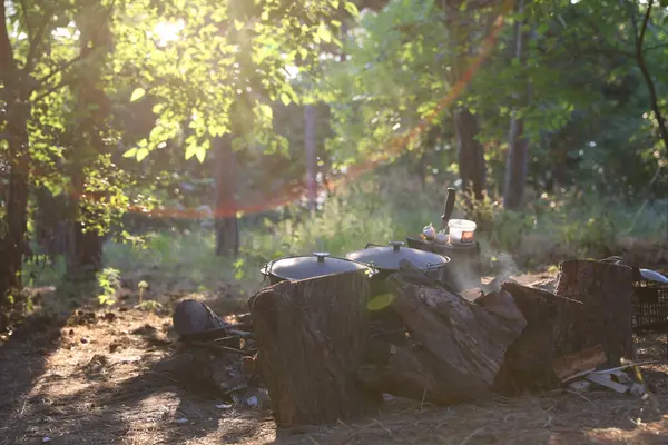 kitchen in the camp in forest. hiking kitchen