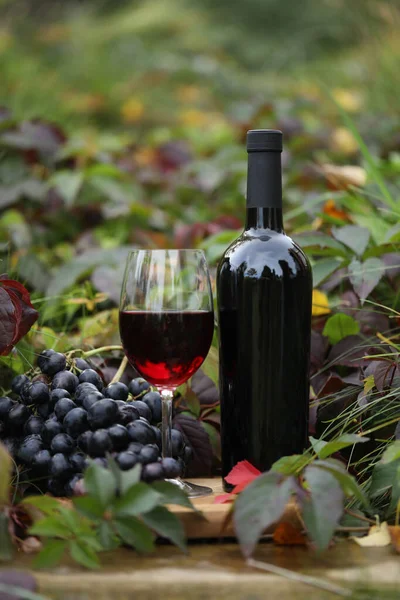 glass of red wine on wooden background with autumn leaves and bottle 