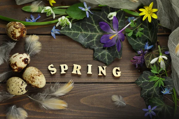 Brauner Holzhintergrund Mit Frühlingsblumen Blättern Und Kopierraum — Stockfoto