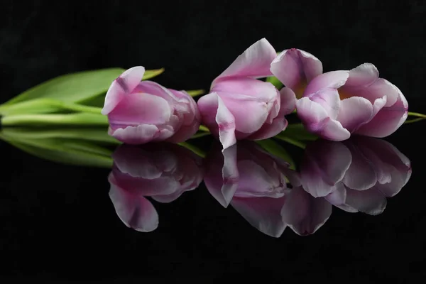 Fond Miroir Noir Avec Tulipes Roses Espace Copie — Photo