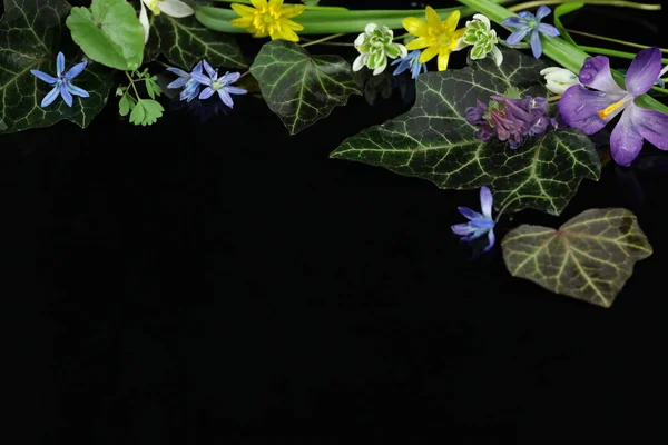 Siyah Arkaplanda Kopyalama Alanı Olan Bahar Renkli Çiçekler — Stok fotoğraf