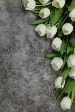 Gri arkaplanlı güzel bir buket beyaz lale çiçeği, metin için boşluk