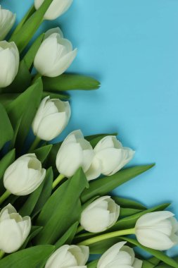 Mavi arkaplanlı beyaz lale çiçeklerinden oluşan güzel bir buket.